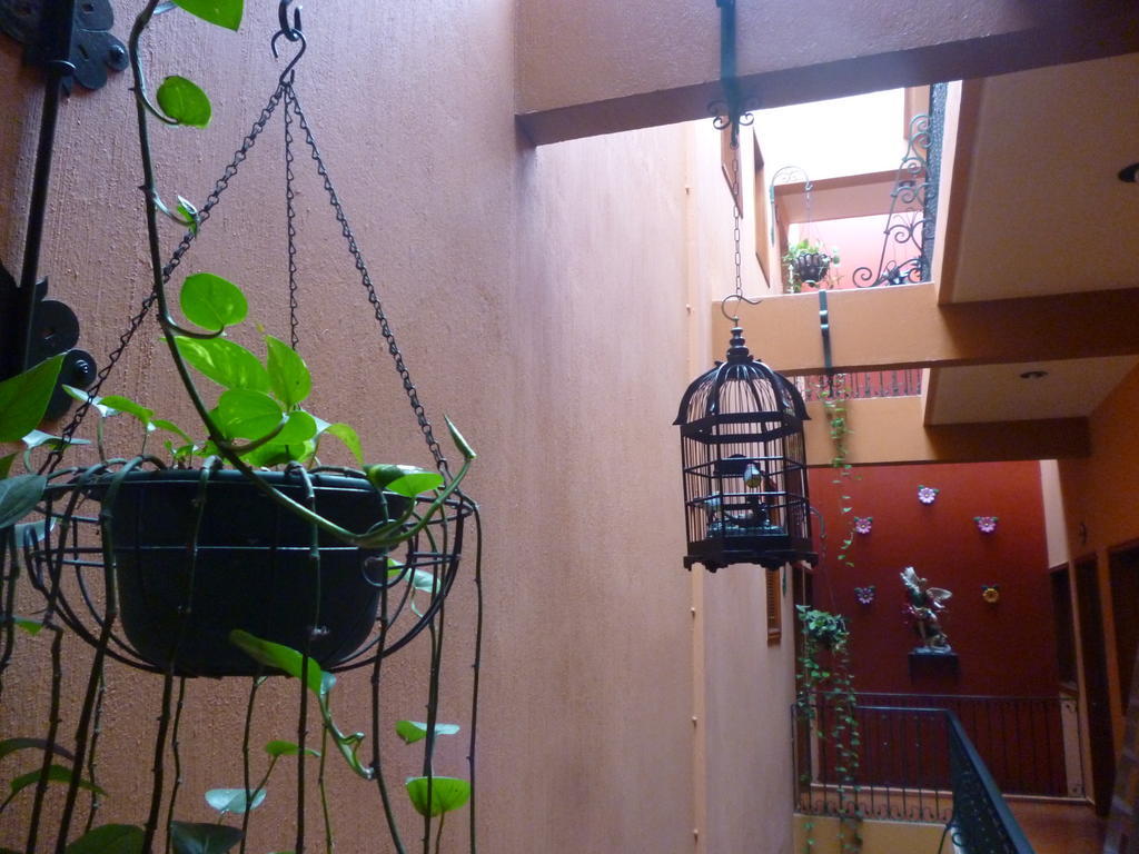 Hotel Boutique Parador San Miguel Oaxaca Eksteriør bilde